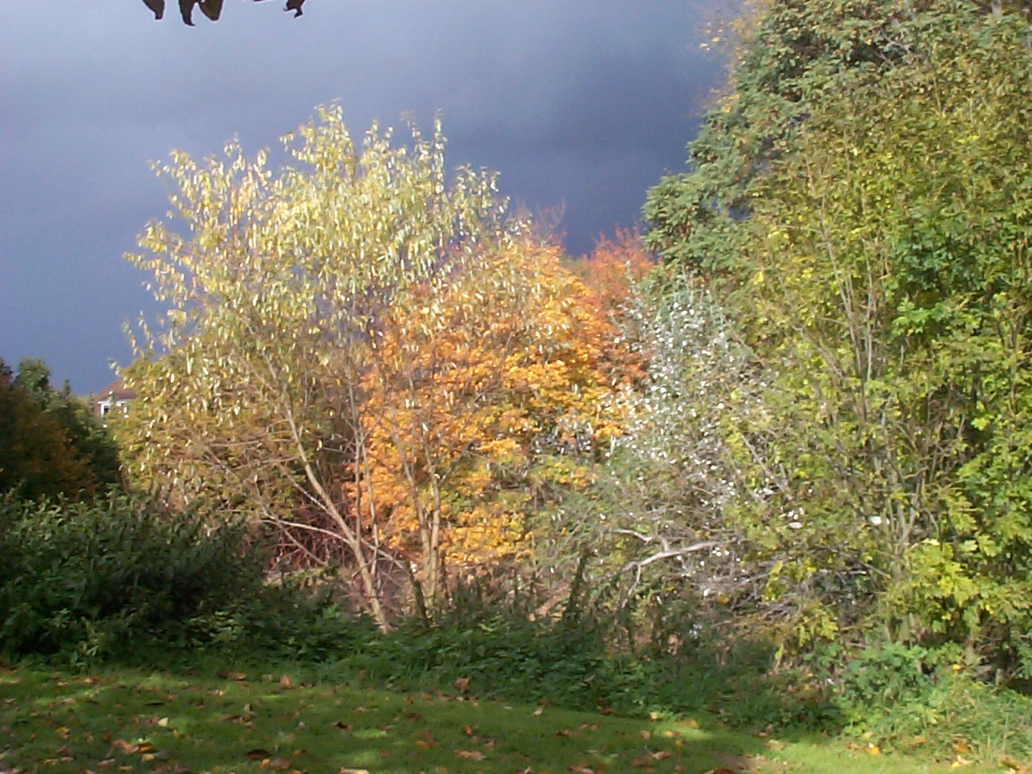 Herbst in Hildesheim