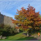 herbst in hillesheim