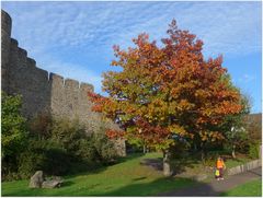 herbst in hillesheim