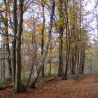 Herbst in Hinsbeck