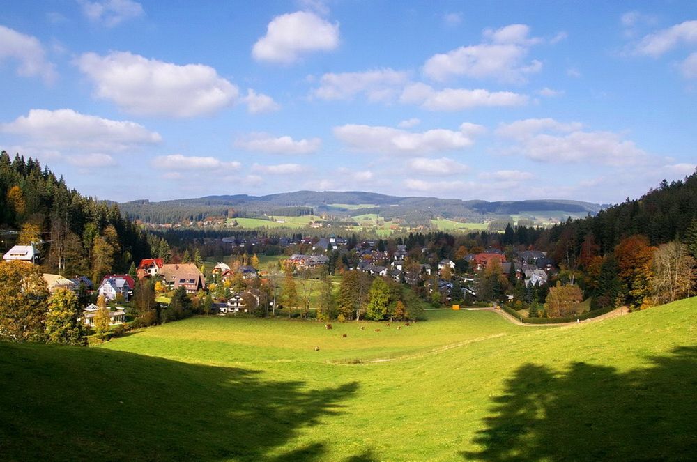 Herbst in Hinterzarten