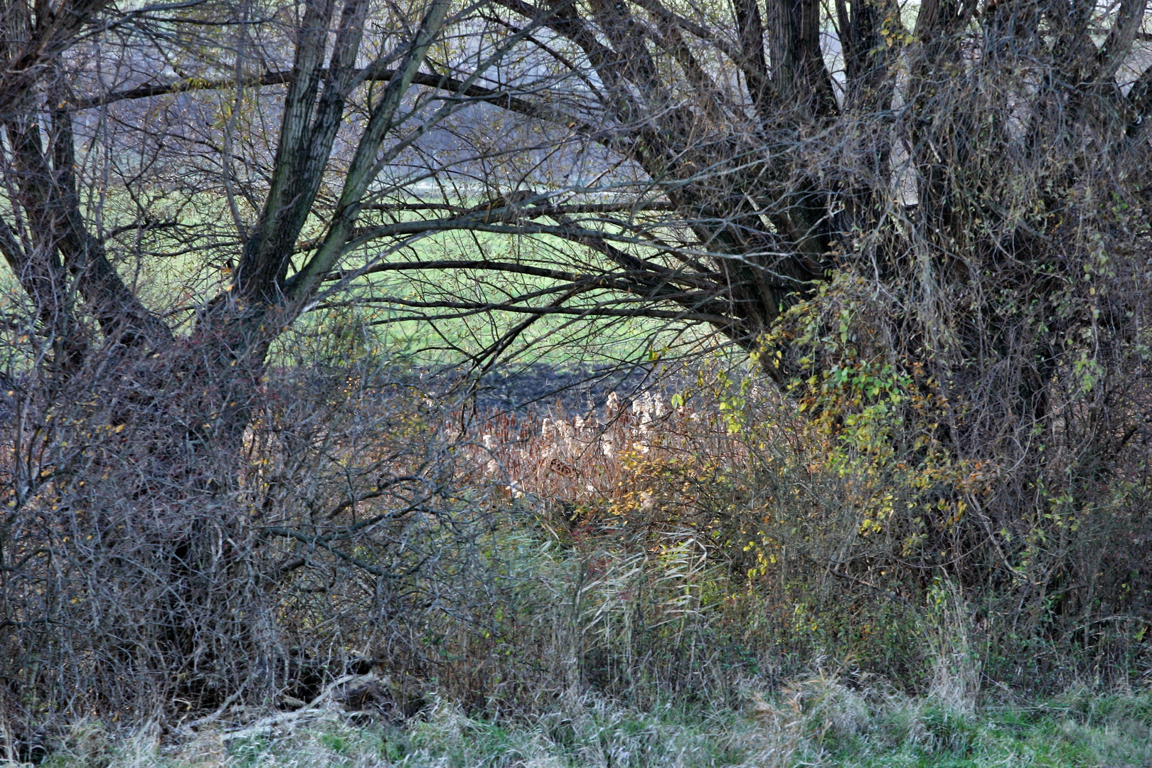 herbst in hirm