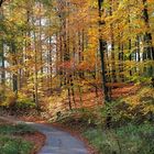 Herbst in Hoberge