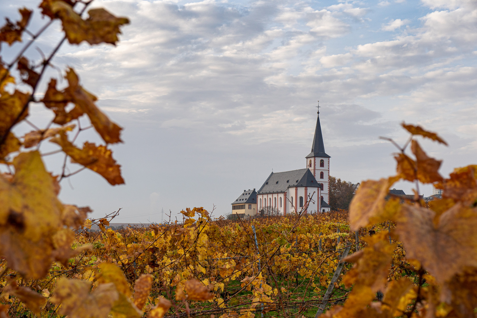 Herbst in Hochheim