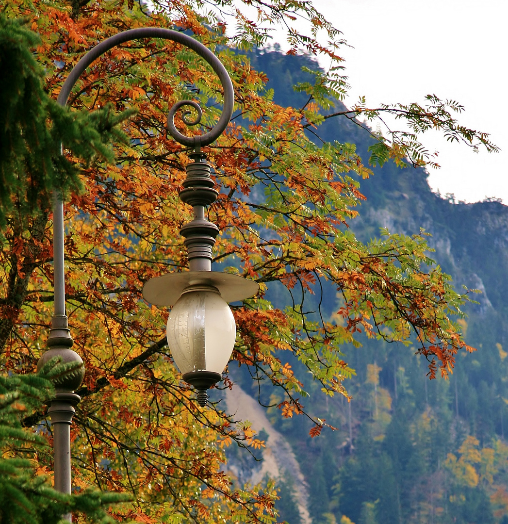 Herbst in Hohenschwangau (2012)