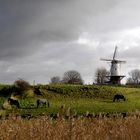 Herbst in Holland