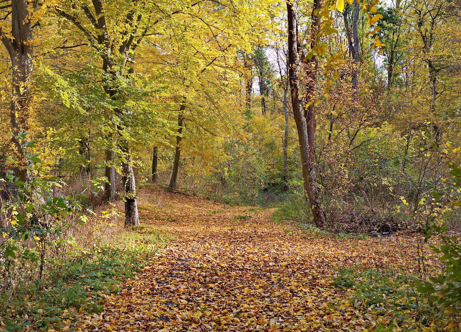 Herbst in Holzzelle - Mansfelder Land