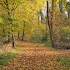 Herbst in Holzzelle - Mansfelder Land