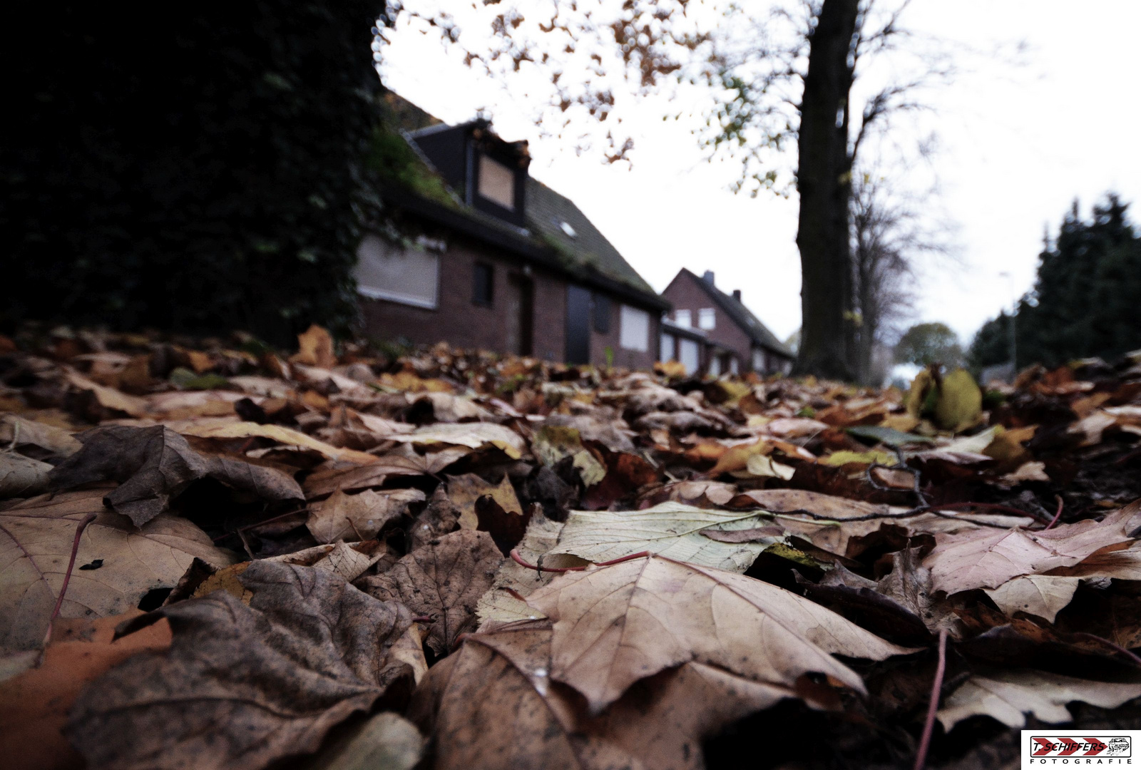 Herbst in Immerath