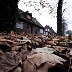 Herbst in Immerath