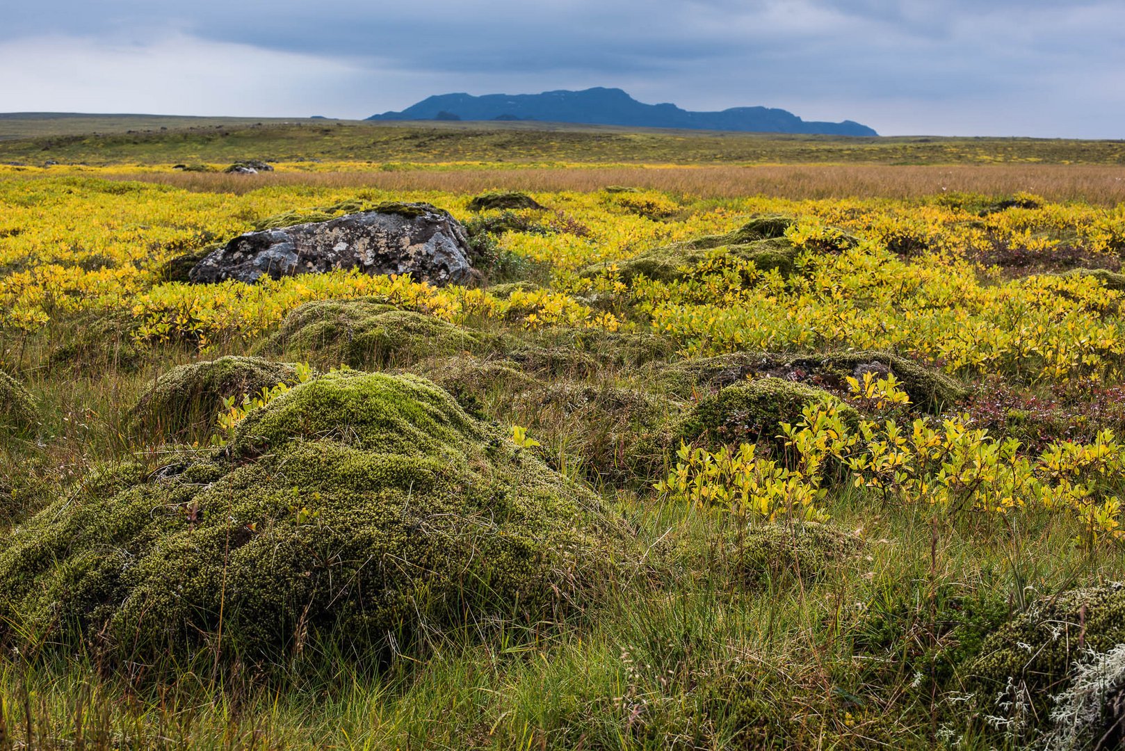 herbst in island