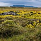 herbst in island