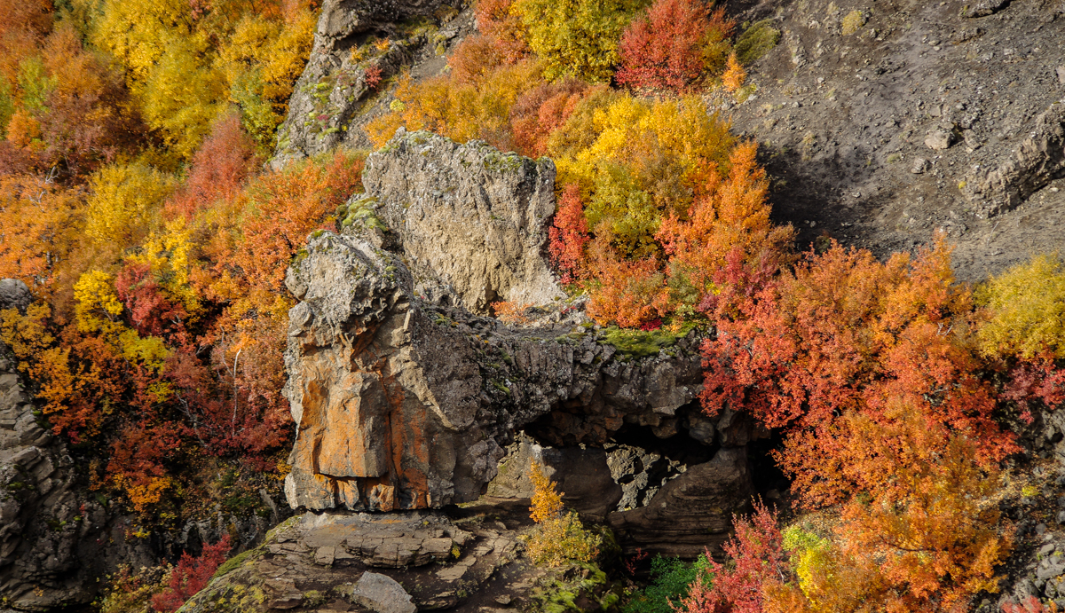 Herbst in Island