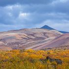 Herbst in Island