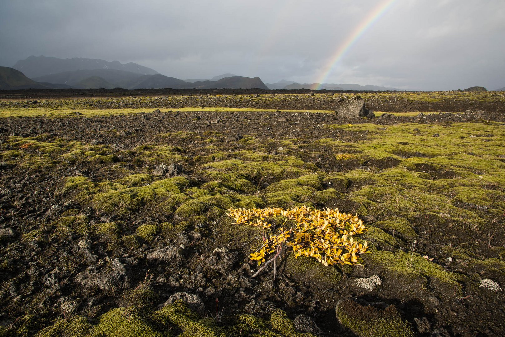 herbst in island II