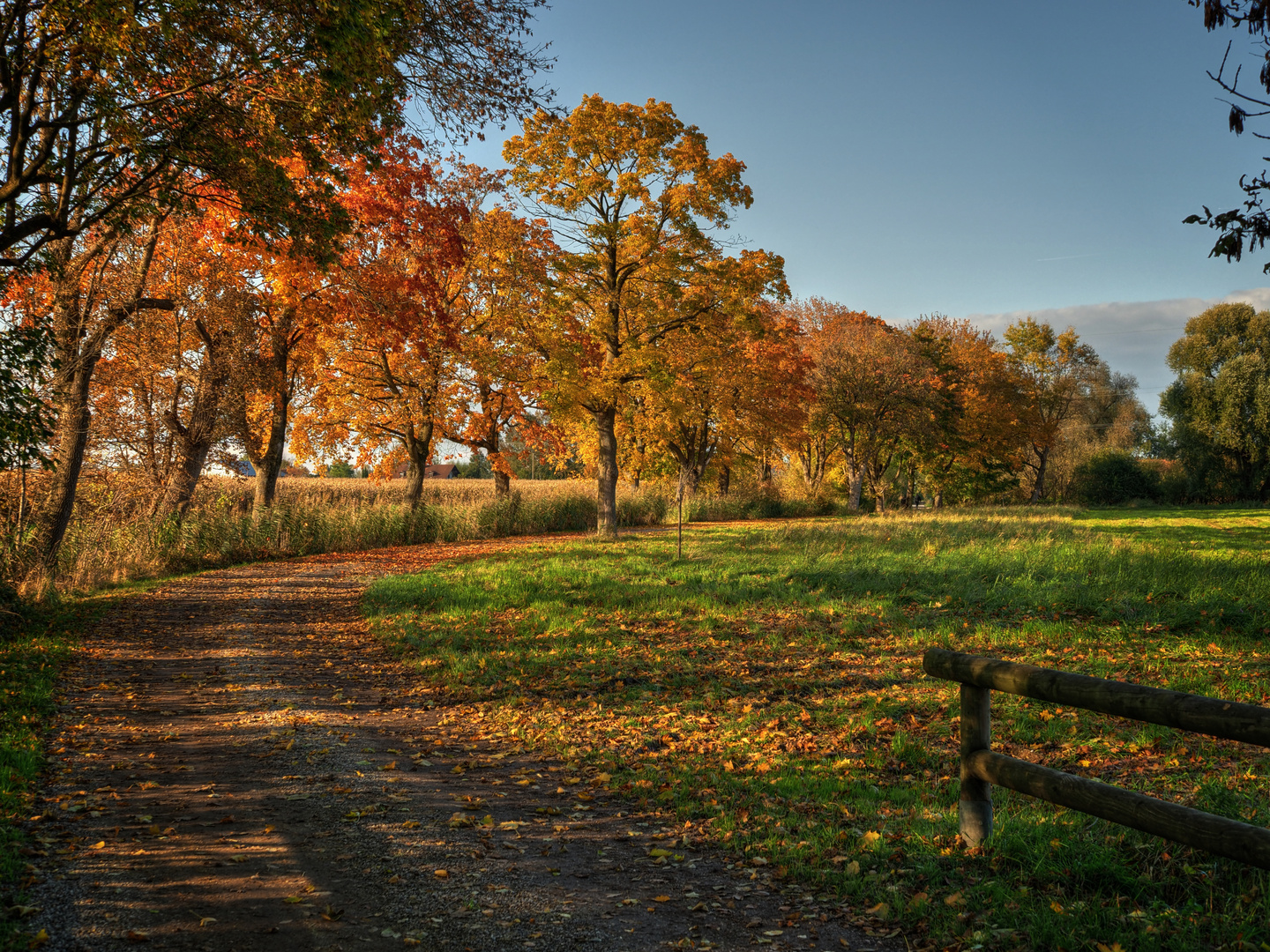 Herbst in Ismaning