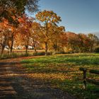 Herbst in Ismaning