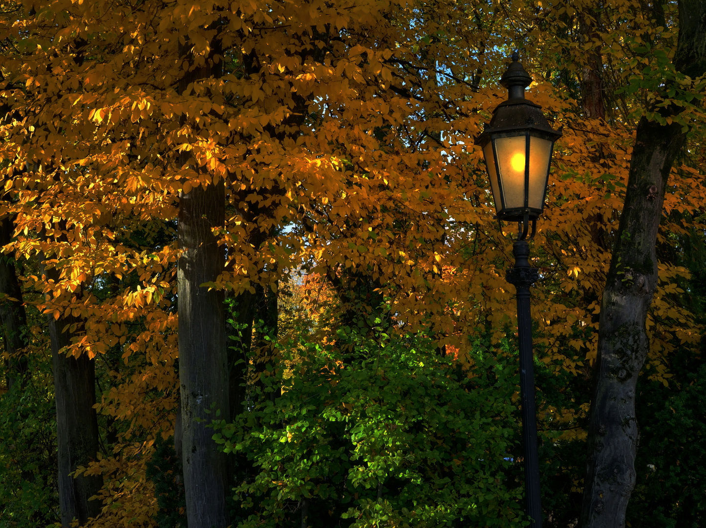 Herbst in Ismaning