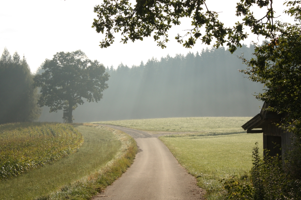 Herbst in Issing