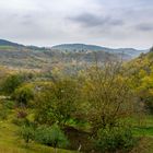 Herbst in Istrien