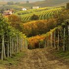 Herbst in Italien 2