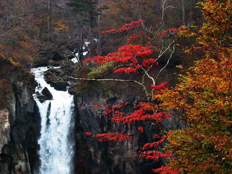 Herbst in Japan