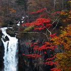 Herbst in Japan