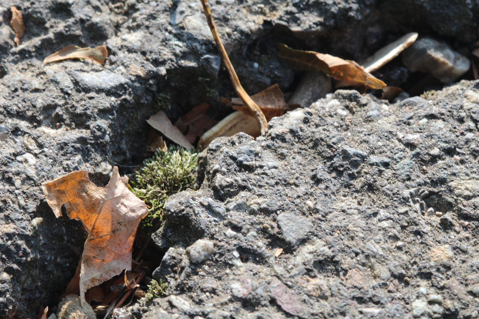 Herbst in jeder Ecke.