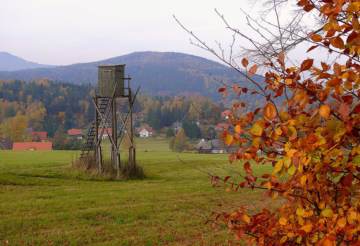 Herbst in Jonsdorf