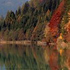 Herbst in Kärnten