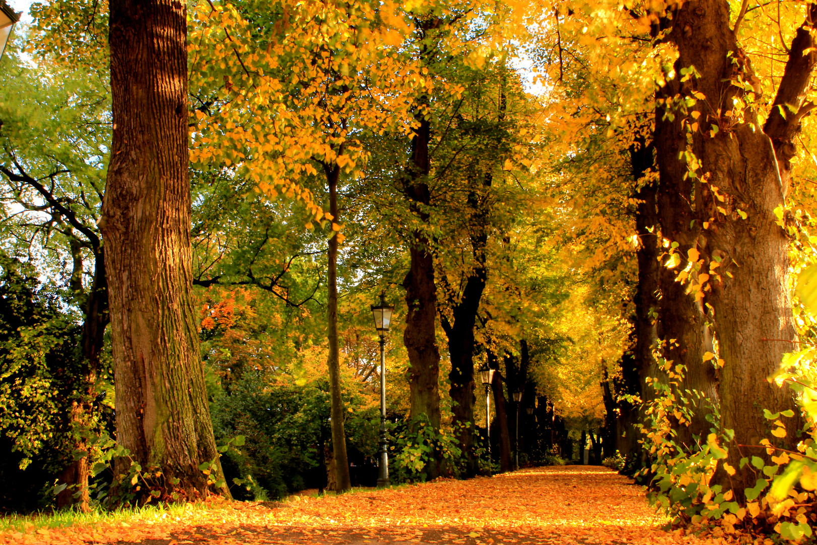 Herbst in Kaiserswerth, Düsseldorf