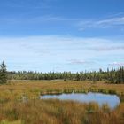 Herbst in Kanada