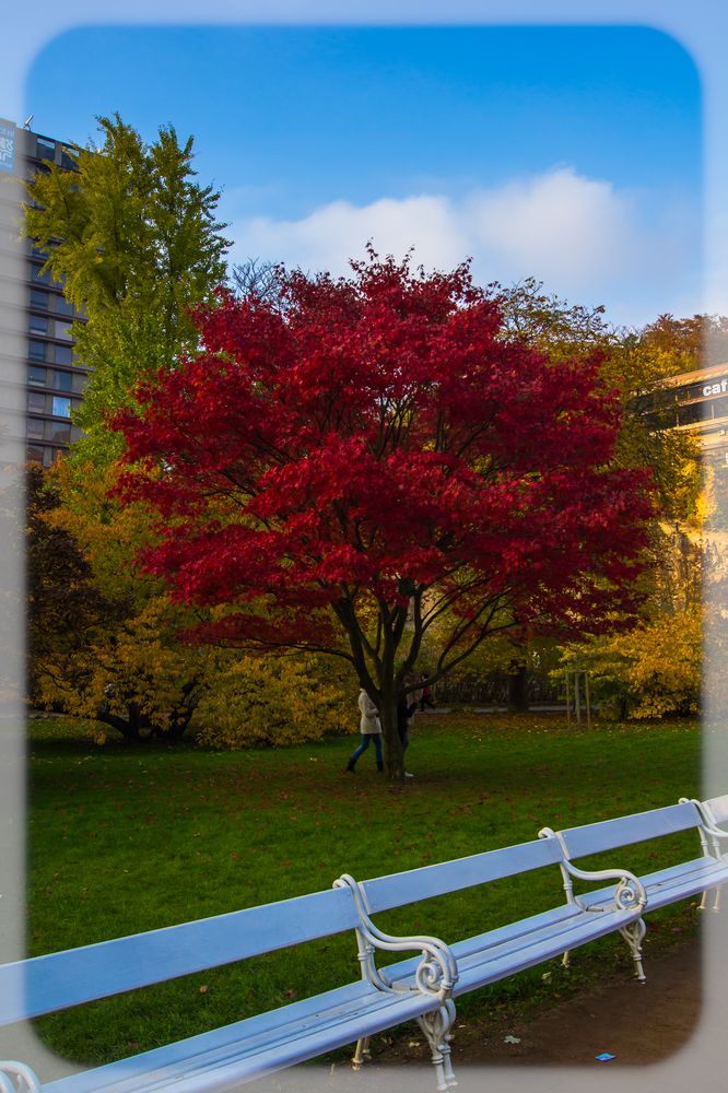 Herbst in Karlsbad