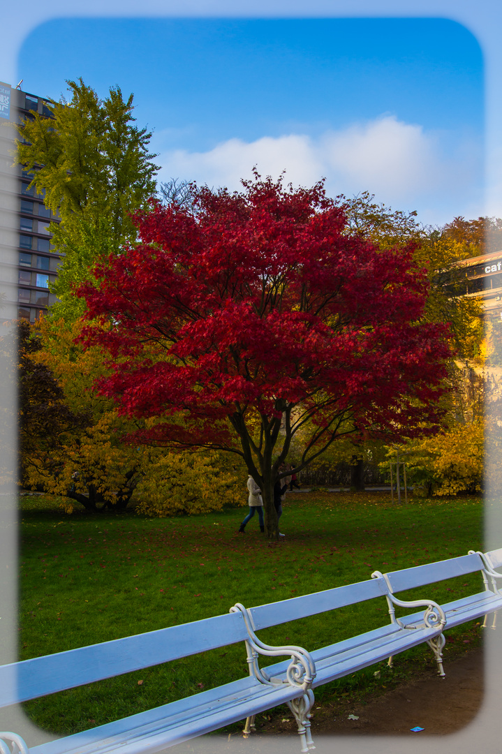 Herbst in Karlsbad