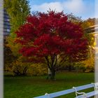 Herbst in Karlsbad