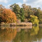 Herbst in Karlsruhe 1