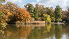 Herbst in Karlsruhe 1