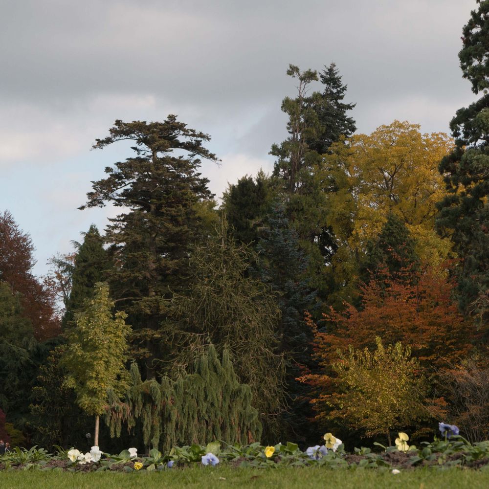 Herbst in Karlsruhe 2