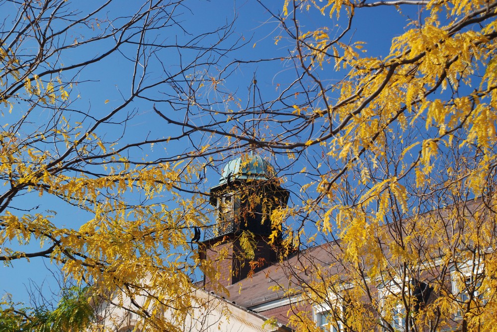 Herbst in Karlsruhe an der Postgalarie II