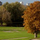 Herbst in Karlsruhe