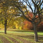 Herbst in Kassel  |  Oktober 2015