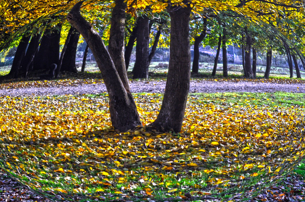 HERBST IN KASTANIES