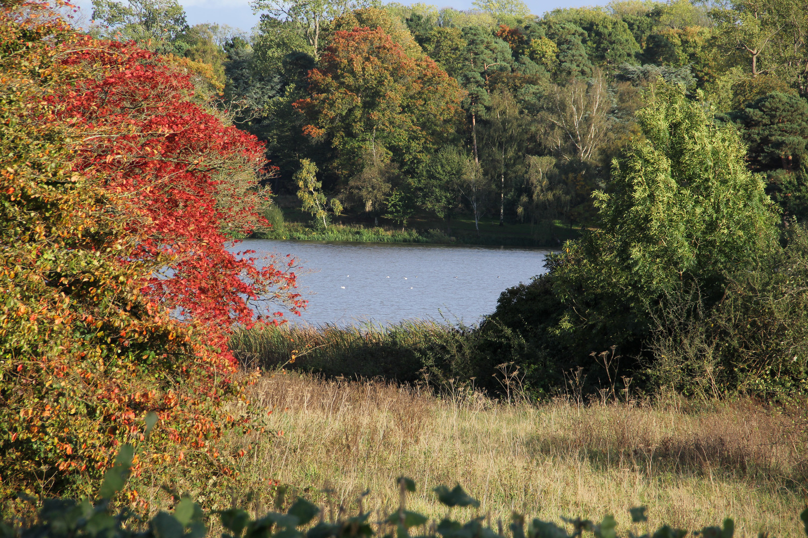 Herbst in Kent