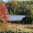 Herbst in Kent