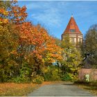 Herbst in Kiel