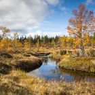 Herbst in Kiilopää