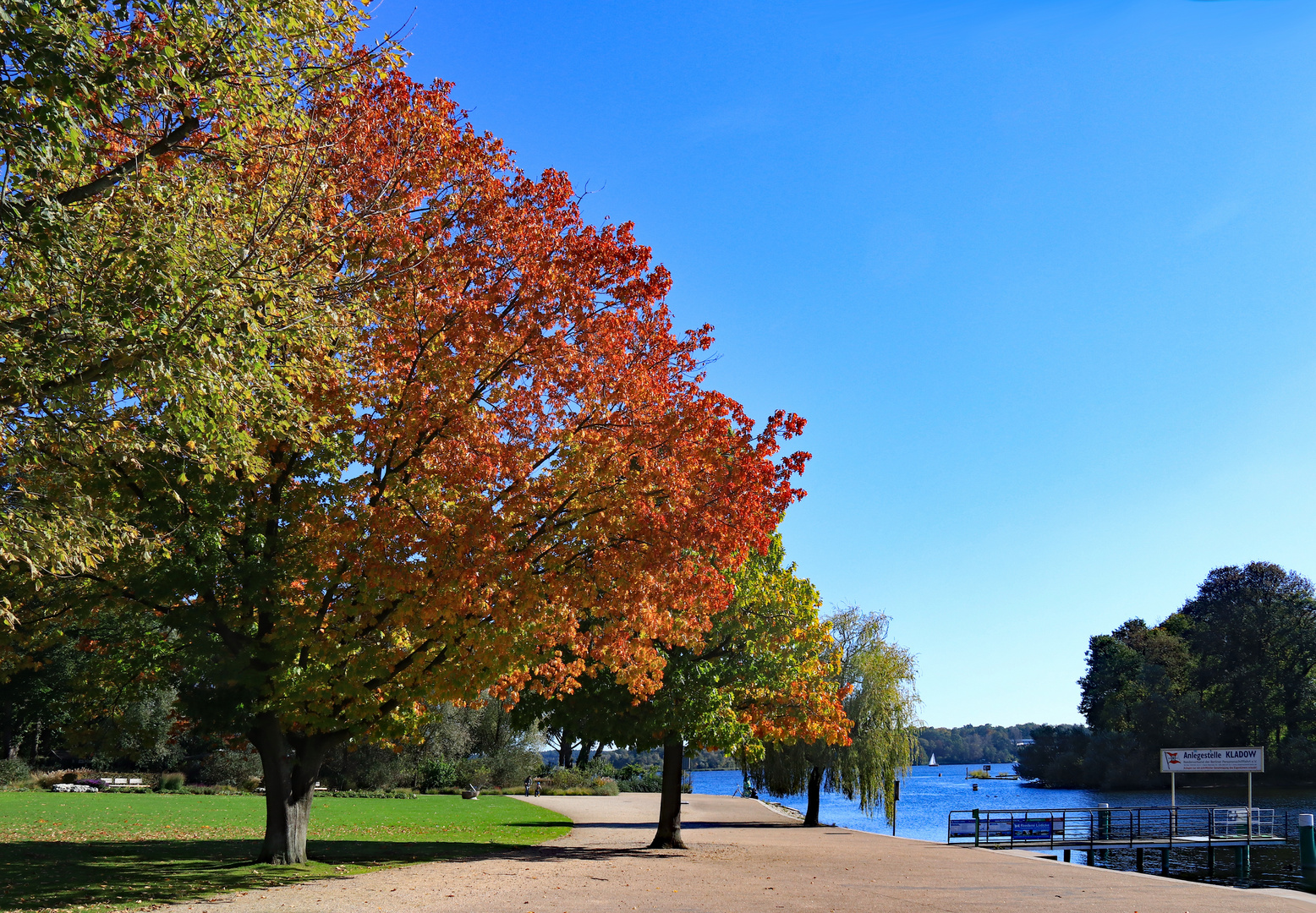 Herbst in Kladow