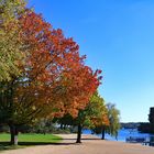 Herbst in Kladow