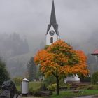 Herbst in Kleinwalsertal