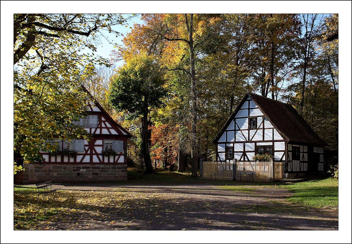 Herbst in Kloster Veßra (3)